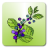 Biology Sample Collector mobile app icon