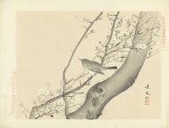 Vogeltje in boom met witte bloesem