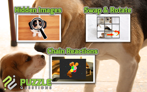 【免費解謎App】Beagle Dog Puzzle Games-APP點子