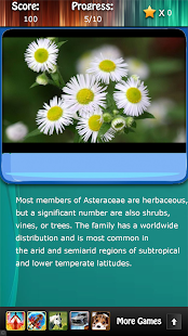 Flowers and Blossoms Quiz HD Screenshots 14