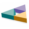 Triangle MLS logo
