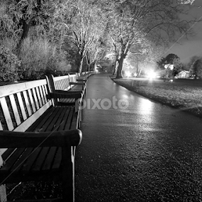 Glasgow Botanics during Light show by Wendy Milne - City,  Street & Park City Parks
