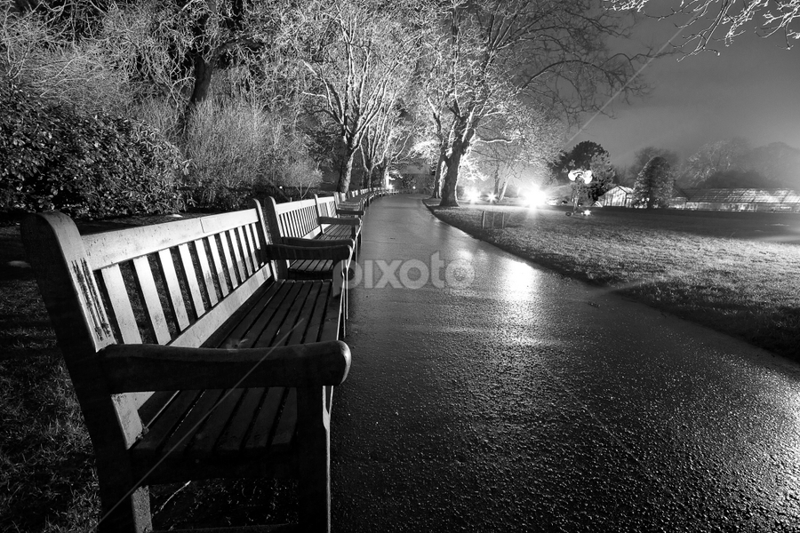Glasgow Botanics during Light show by Wendy Milne - City,  Street & Park City Parks