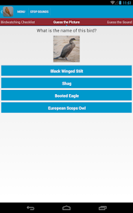 Spanish Birds Sounds Screenshots 11