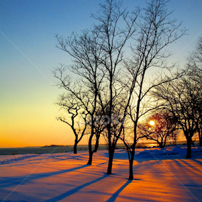 Winter sunset, Old Greenwich, CT. by John Hayes - Landscapes Sunsets & Sunrises