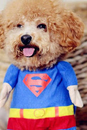 Poodle Puzzle by BookMan poster 2