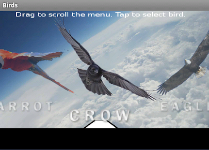 Free Download Birds APK