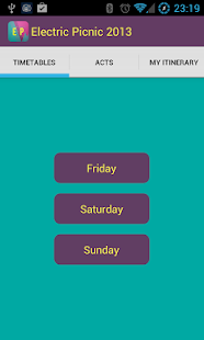 Electric Picnic 2013 Screenshots 0