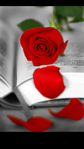 免費下載旅遊APP|Visual Sant Jordi Roses Books app開箱文|APP開箱王