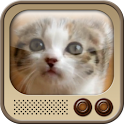MewTube logo