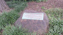 Mary Rockwell Azalea Garden