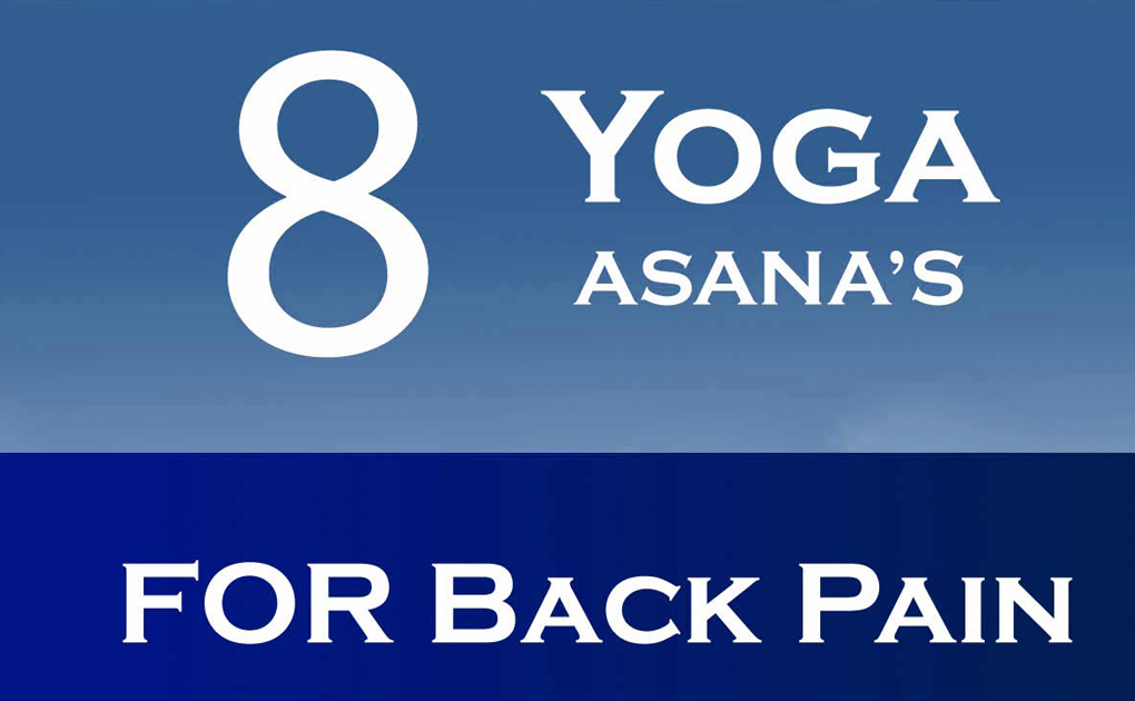 Yoga Poses Easy: 533 ALL NEW YOGA POSES FOR THE LOWER BACK PAIN