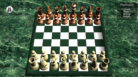 Chess Pro 3D poster 6