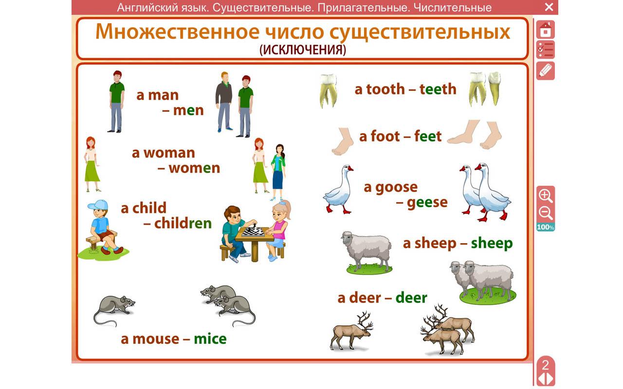 Множественное число в английском языке таблица