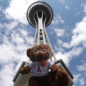 Seattle Space Needle by Heather Parrish - City,  Street & Park Skylines
