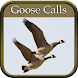 Goose Hunting Calls