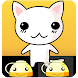 Hide cat