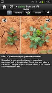 K gallery Screenshots 1