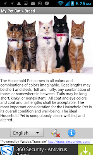 My Pet Cat - My World Screenshots 3