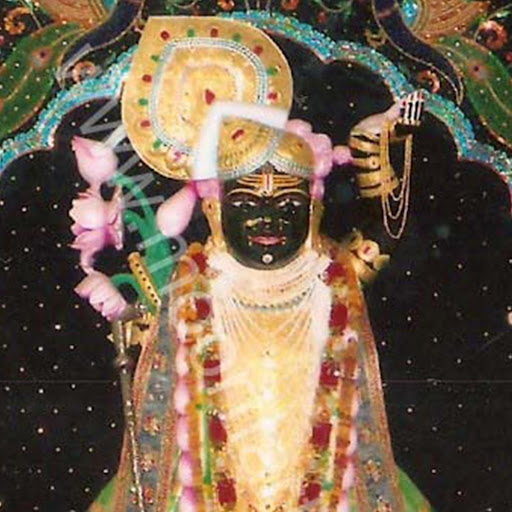 【免費生活App】Shrinathji-APP點子