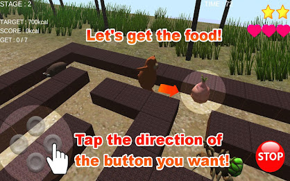 Bear in Farm 3D - Maze Run poster 5