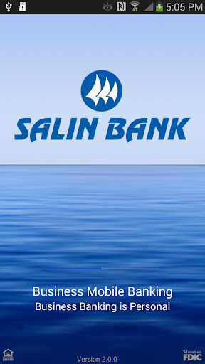 Salin Business Banking