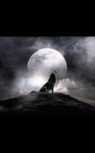 How to download Photo HD Ghost Live Wallpaper 1.02 unlimited apk for bluestacks