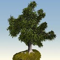 Tree 3D live wallpaper logo