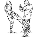 Army COMBATIVES FM3-25.150