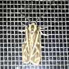 Williams tiger moth