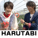 “HARUTABI”  (vol.1) logo