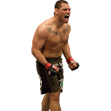 Cain Velasquez widgets logo