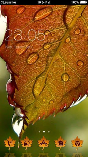 Dew Leaf Drop C Launcher Theme