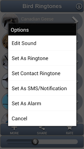 免費下載音樂APP|Bird Ringtones app開箱文|APP開箱王