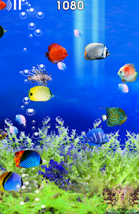 How to mod Fish Tour 1.0 unlimited apk for android