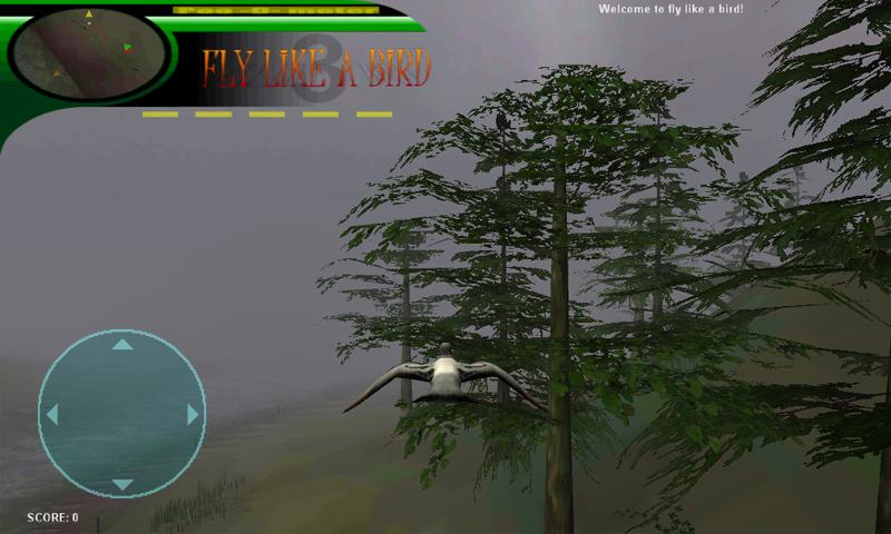 Fly like a bird 3 Screen 3
