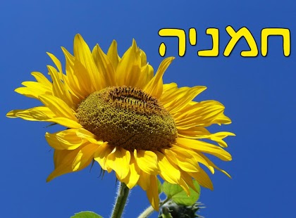 Download Nature pictures APK