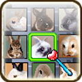 Linking Pet Apk