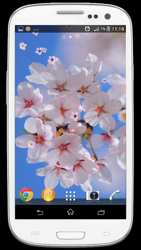 Sakura Animated Live Wallpaper