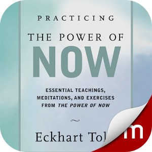 Practicing the Power of Now logo
