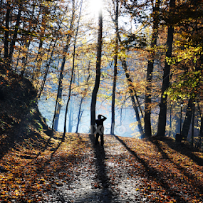 Walking to the sun by Ahmet AYDIN - Landscapes Forests