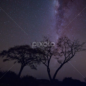 Under an African Sky by Buddy Eleazer - Landscapes Starscapes