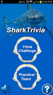 Shark Trivia