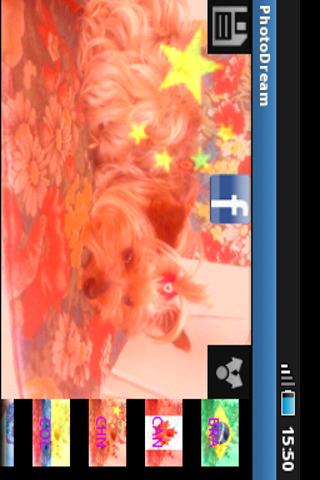 PhotoDreamPro Screen 3