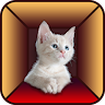 Cat Simulator Game icon