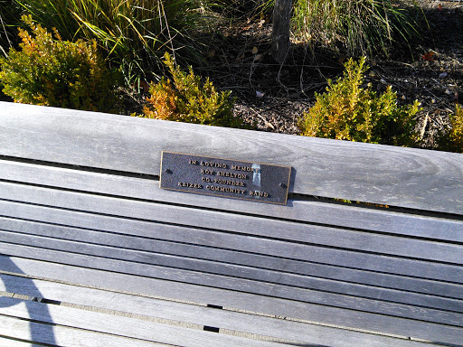 Roy Shelton Memorial Bench 