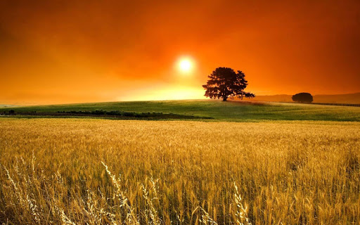 Landscape Wallpaper