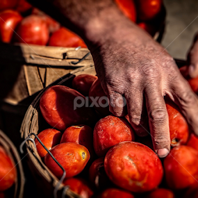 Hands at work by Flavio Mini - Food & Drink Fruits & Vegetables