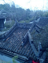 Dragon Roof
