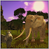 African Savanna1.0